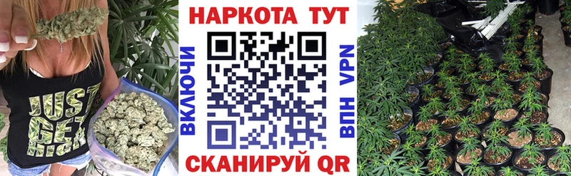 Какие есть наркотики Бологое Гашиш  Канабис  КОКАИН  Альфа ПВП  АМФЕТАМИН  МЕФ 