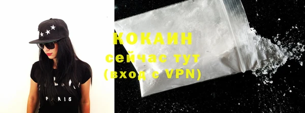 твердый Кулебаки